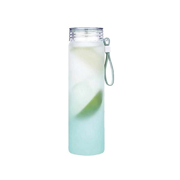 YDB01-05 Glass Drinks Bottle 450ml 48c