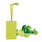 906546 TESCOMA Scent Card Mojito
