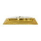 CD6070 Long Dish W-Cover L (G) 12c