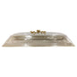 CD6383 Long Dish W-Cover L (S) 12c
