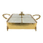CD6617 4x1 Ser Dish Sq (G)  ORCHID 4cs
