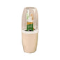 Family kit Tooth Brush Holder