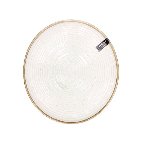 T21-01 10'' dinner plate  DannyHOME 20c