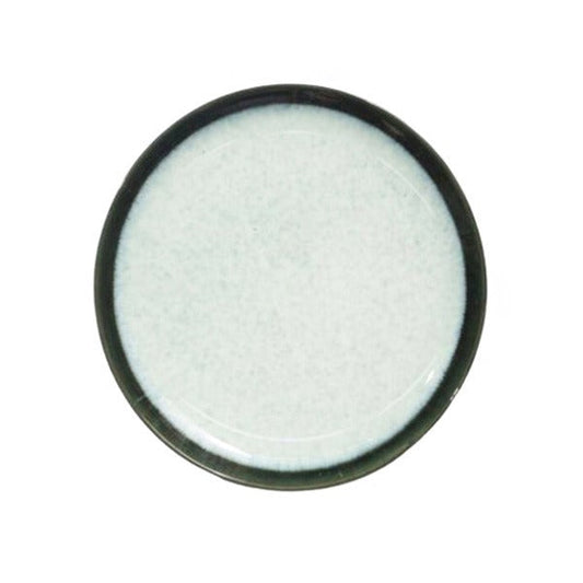 T25-01  10'' BG dinner plate DH 20c
