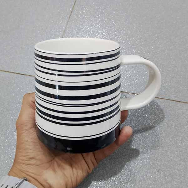 TXP-064 (TX7643) Mug 500ML 48c