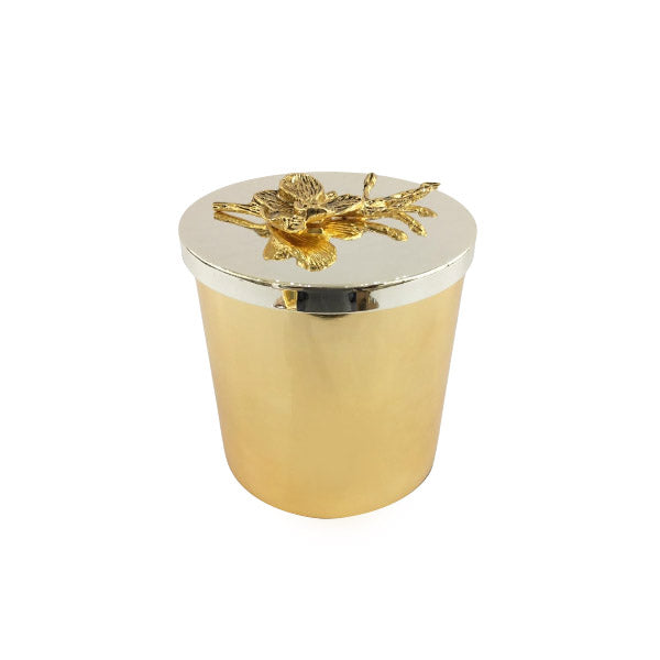 WB613 Candy Box Medium 24c