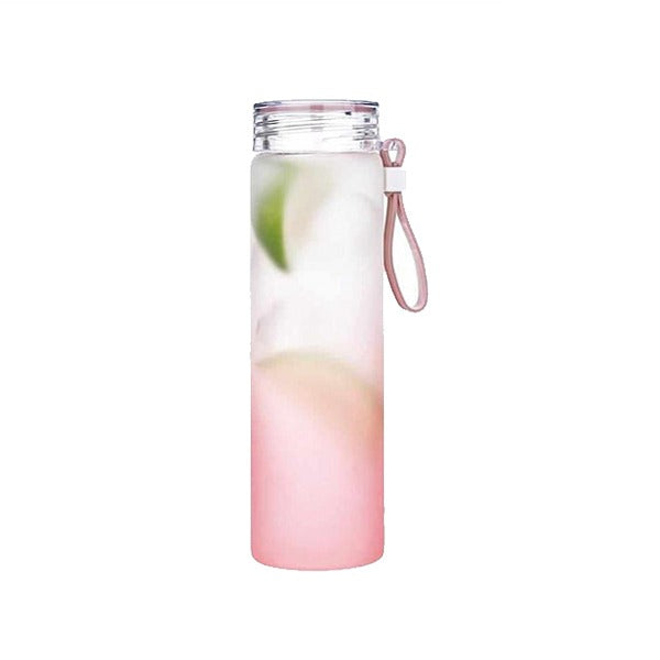 YDB01-05 Glass Drinks Bottle 450ml 48c