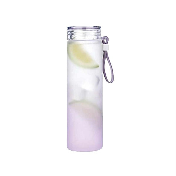 YDB01-05 Glass Drinks Bottle 450ml 48c